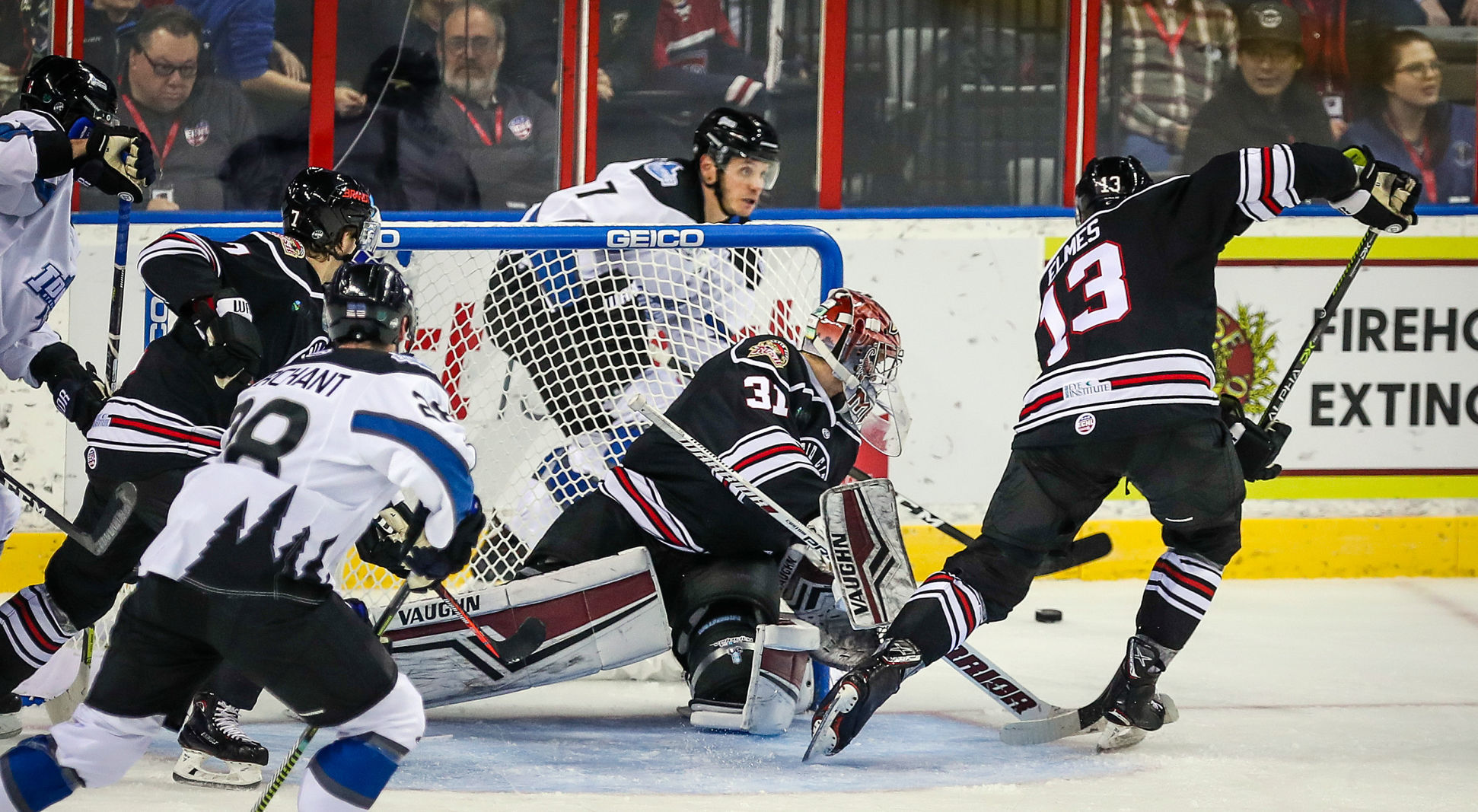 Rush host Steelheads